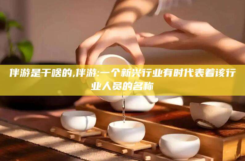 大连伴游是干啥的,伴游:一个新兴行业有时代表着该行业人员的名称