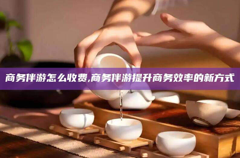 大连商务伴游怎么收费,商务伴游提升商务效率的新方式
